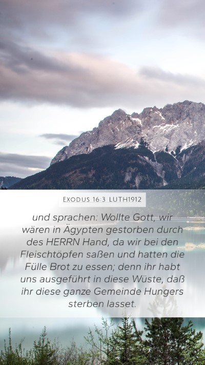 Exodus 16:3 LUTH1912 Bible Verse Image