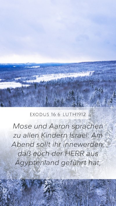 Exodus 16:6 LUTH1912 Mobile Phone Wallpaper - Mose und Aaron sprachen zu allen Kindern Israel: - Mobile Bible Verse Wallpaper
