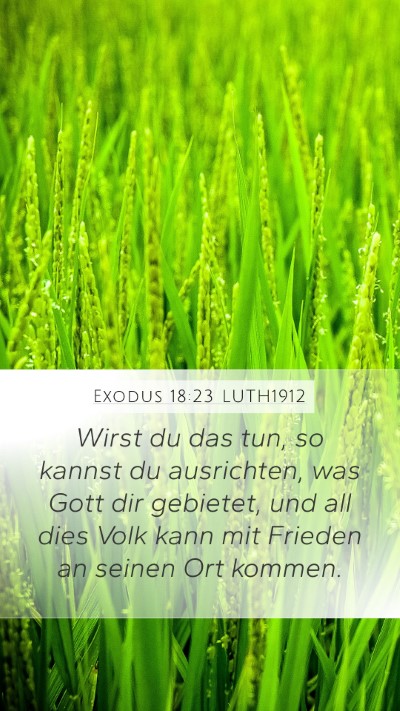 Exodus 18:23 LUTH1912 Bible Verse Image