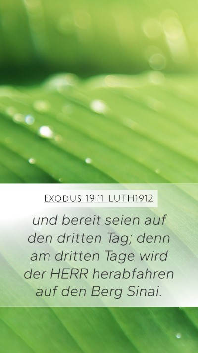 Exodus 19:11 LUTH1912 Bible Verse Image