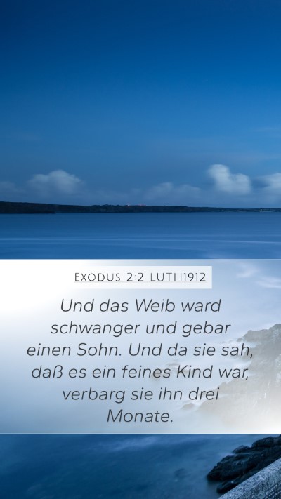 Exodus 2:2 LUTH1912 Bible Verse Image