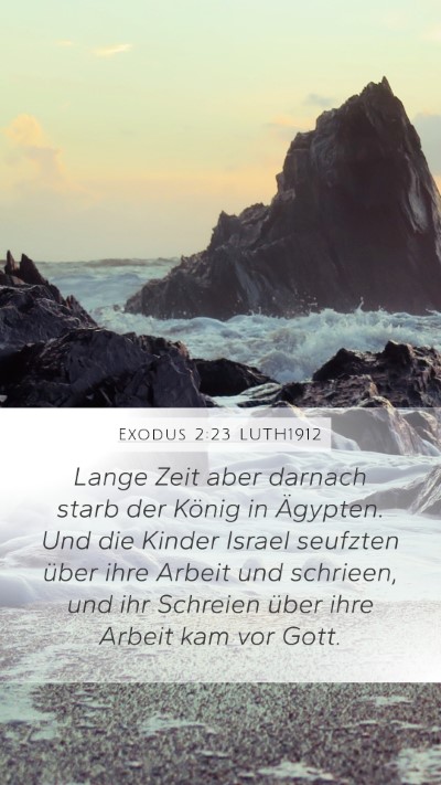 Exodus 2:23 LUTH1912 Bible Verse Image