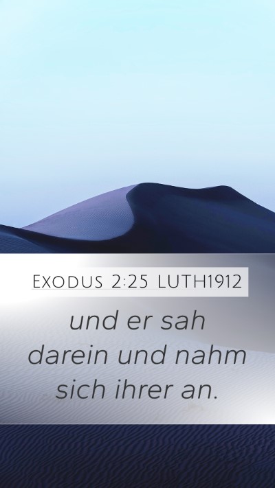 Exodus 2:25 LUTH1912 Bible Verse Image