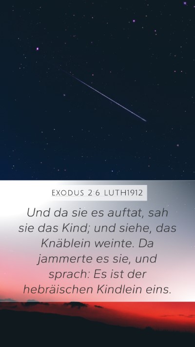 Exodus 2:6 LUTH1912 Bible Verse Image