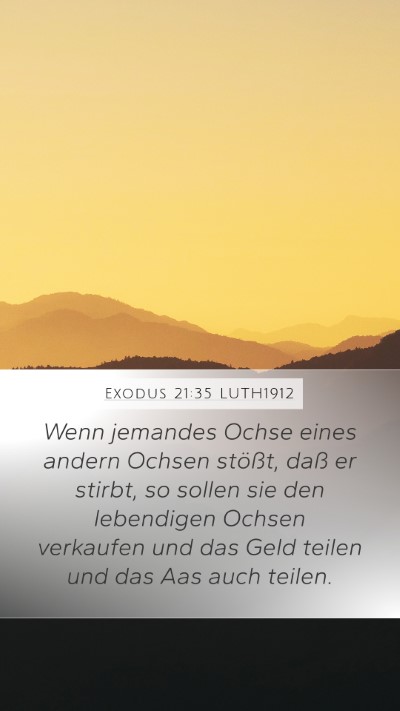 Exodus 21:35 LUTH1912 Mobile Phone Wallpaper - Wenn jemandes Ochse eines andern Ochsen stößt, - Mobile Bible Verse Wallpaper