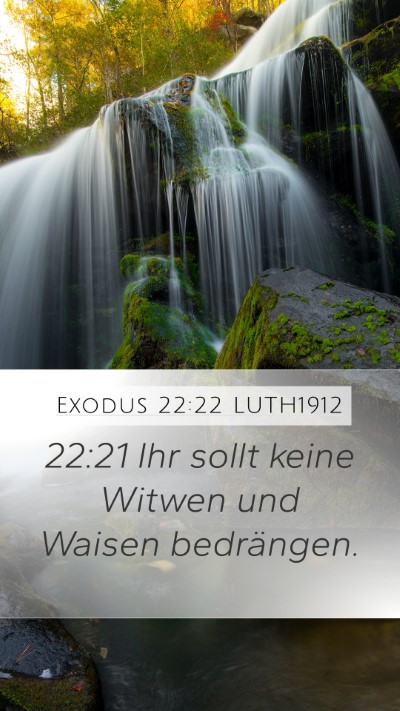 Exodus 22:22 LUTH1912 Bible Verse Image