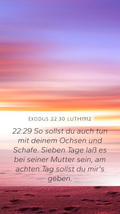 Exodus 22:30 LUTH1912 Bible Verse Image