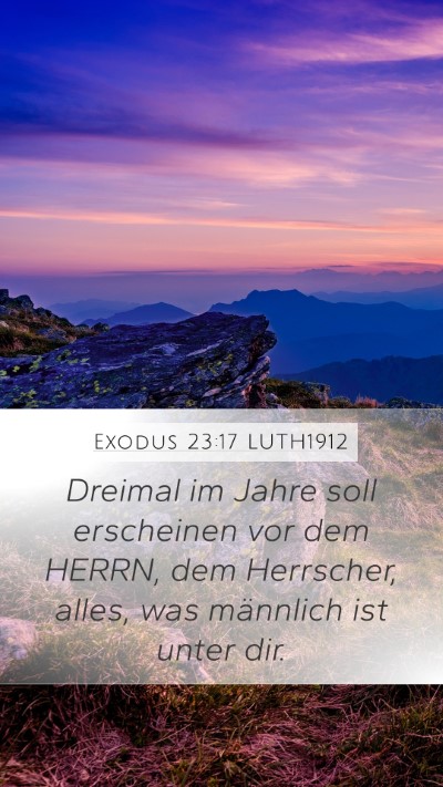 Exodus 23:17 LUTH1912 Bible Verse Image