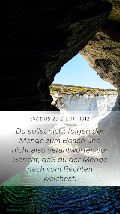 Exodus 23:2 LUTH1912 Bible Verse Image