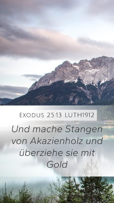 Exodus 25:13 LUTH1912 Bible Verse Image