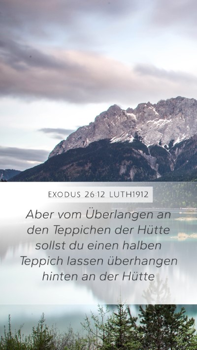 Exodus 26:12 LUTH1912 Bible Verse Image