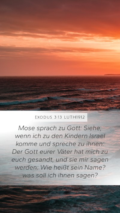 Exodus 3:13 LUTH1912 Bible Verse Image