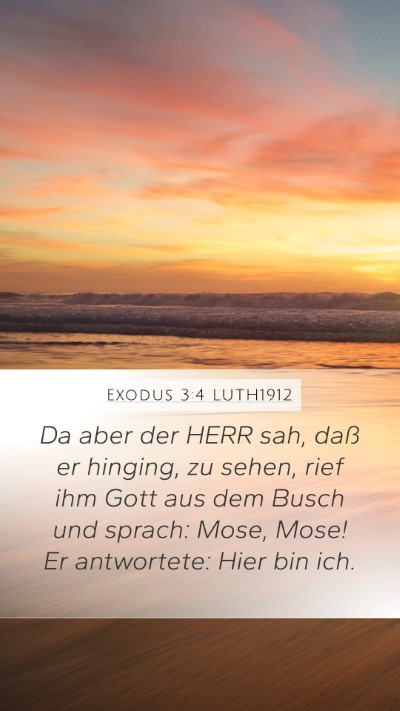 Exodus 3:4 LUTH1912 Bible Verse Image