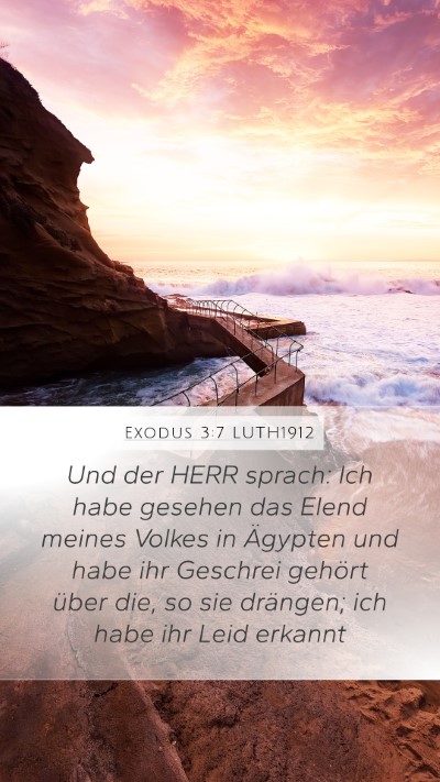 Exodus 3:7 LUTH1912 Bible Verse Image