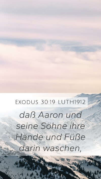 Exodus 30:19 LUTH1912 Bible Verse Image