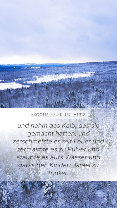 Exodus 32:20 LUTH1912 Bible Verse Image