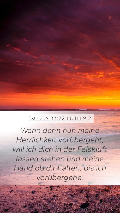 Exodus 33:22 LUTH1912 Bible Verse Image