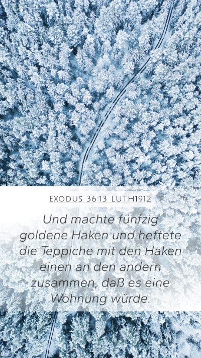 Exodus 36:13 LUTH1912 Bible Verse Image