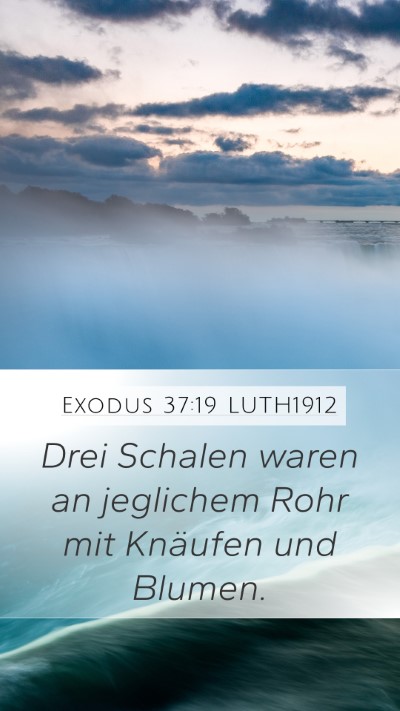 Exodus 37:19 LUTH1912 Mobile Phone Wallpaper - Drei Schalen waren an jeglichem Rohr mit Knäufen - Mobile Bible Verse Wallpaper
