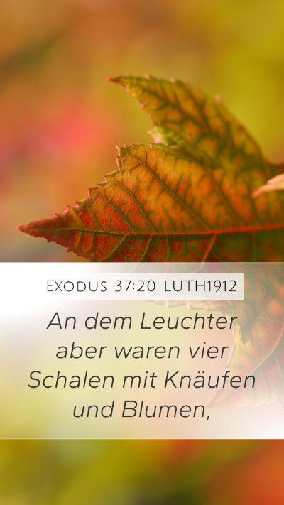Exodus 37:20 LUTH1912 Bible Verse Image