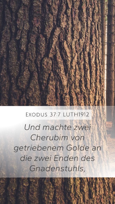 Exodus 37:7 LUTH1912 Bible Verse Image