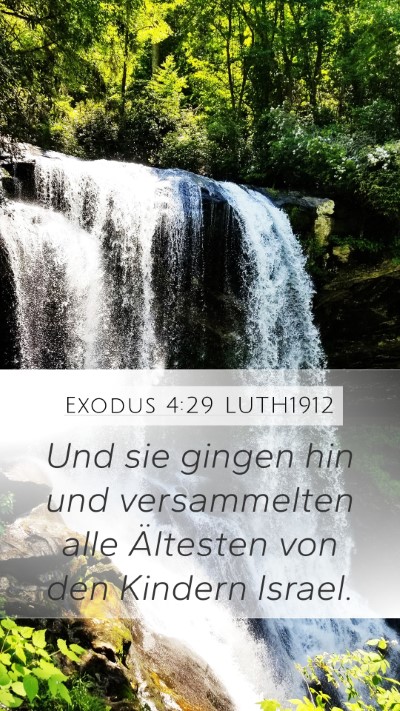 Exodus 4:29 LUTH1912 Bible Verse Image