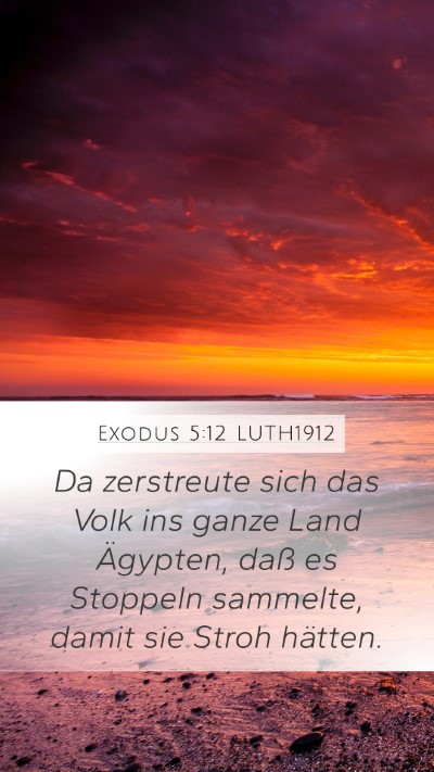 Exodus 5:12 LUTH1912 Mobile Phone Wallpaper - Da zerstreute sich das Volk ins ganze Land - Mobile Bible Verse Wallpaper
