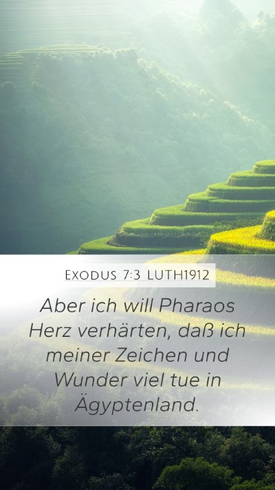 Exodus 7:3 LUTH1912 Bible Verse Image