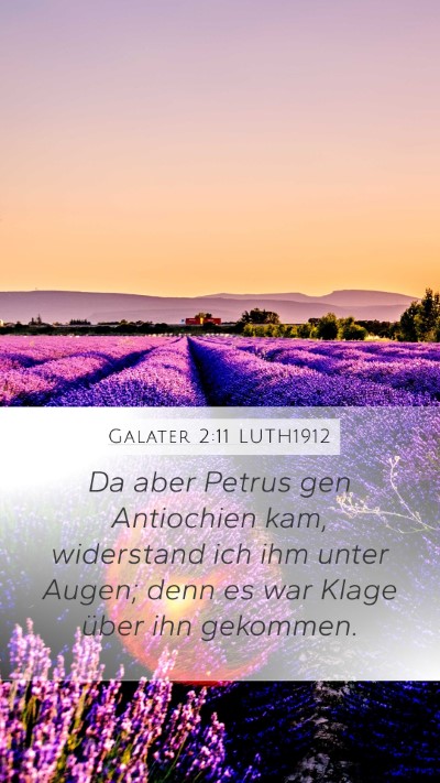 Galater 2:11 LUTH1912 Bible Verse Image