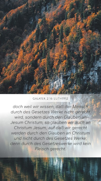 Galater 2:16 LUTH1912 Bible Verse Image
