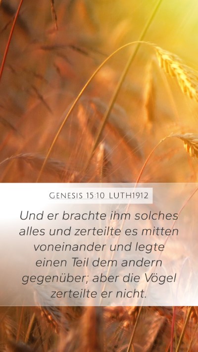 Genesis 15:10 LUTH1912 Mobile Phone Wallpaper - Und er brachte ihm solches alles und zerteilte es - Mobile Bible Verse Wallpaper