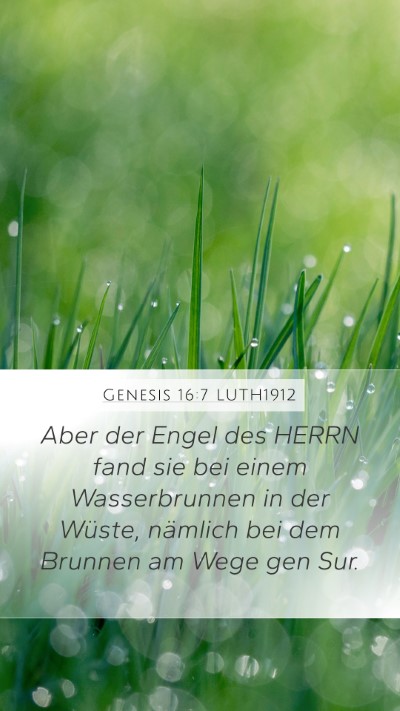 Genesis 16:7 LUTH1912 Bible Verse Image
