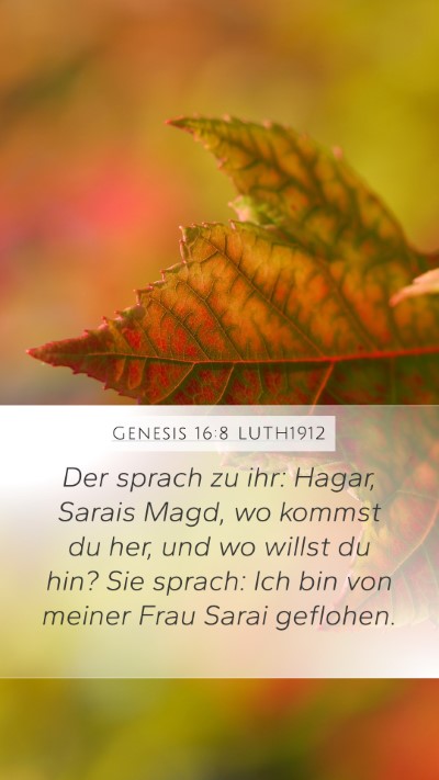 Genesis 16:8 LUTH1912 Bible Verse Image