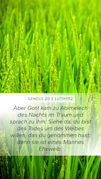 Genesis 20:3 LUTH1912 Bible Verse Image