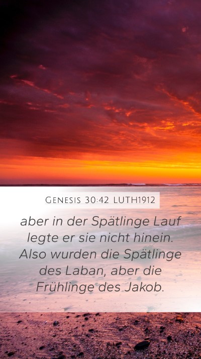 Genesis 30:42 LUTH1912 Mobile Phone Wallpaper - aber in der Spätlinge Lauf legte er sie nicht - Mobile Bible Verse Wallpaper