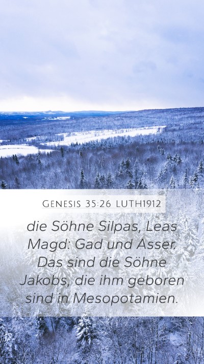 Genesis 35:26 LUTH1912 Bible Verse Image