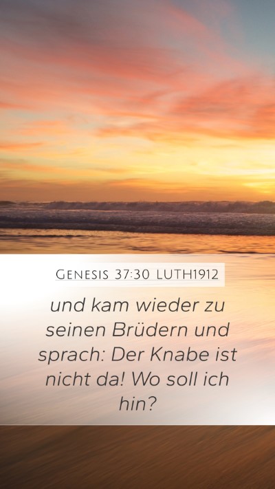 Genesis 37:30 LUTH1912 Mobile Phone Wallpaper - und kam wieder zu seinen Brüdern und sprach: Der - Mobile Bible Verse Wallpaper