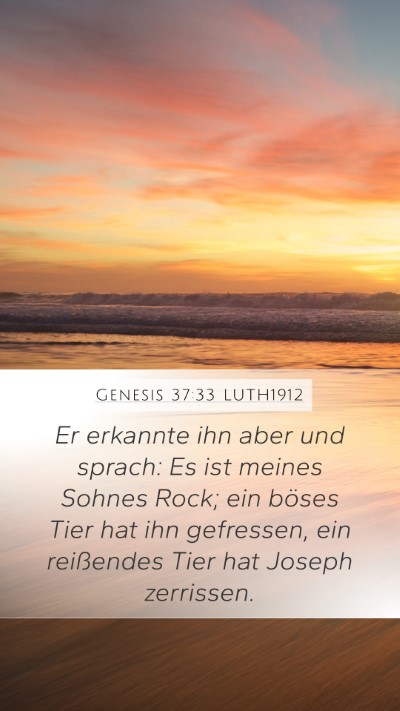 Genesis 37:33 LUTH1912 Bible Verse Image