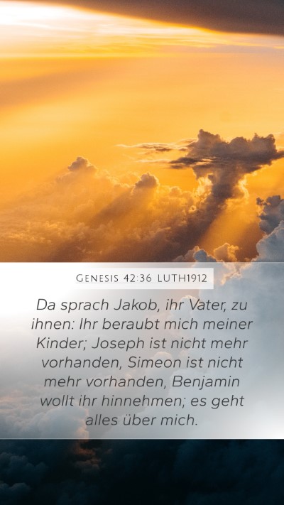 Genesis 42:36 LUTH1912 Bible Verse Image