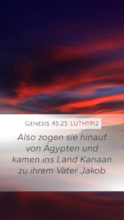 Genesis 45:25 LUTH1912 Mobile Phone Wallpaper - Also zogen sie hinauf von Ägypten und kamen ins - Mobile Bible Verse Wallpaper