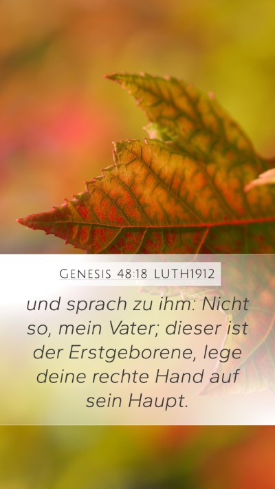 Genesis 48:18 LUTH1912 Bible Verse Image