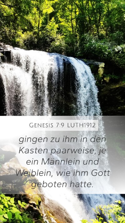 Genesis 7:9 LUTH1912 Mobile Phone Wallpaper - gingen zu ihm in den Kasten paarweise, je ein - Mobile Bible Verse Wallpaper