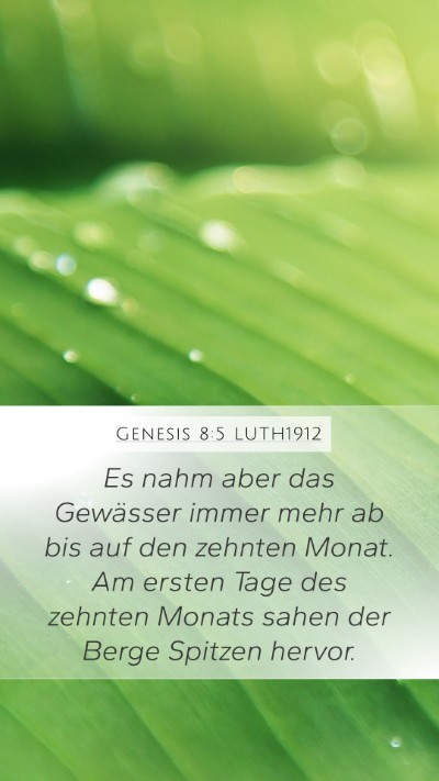 Genesis 8:5 LUTH1912 Mobile Phone Wallpaper - Es nahm aber das Gewässer immer mehr ab bis auf - Mobile Bible Verse Wallpaper