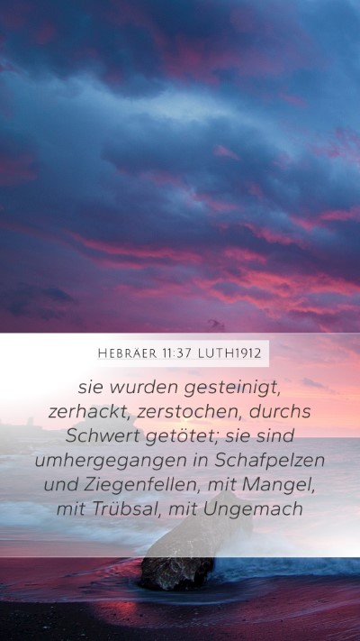 Hebräer 11:37 LUTH1912 Bible Verse Image