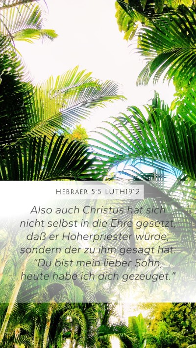 Hebräer 5:5 LUTH1912 Bible Verse Image