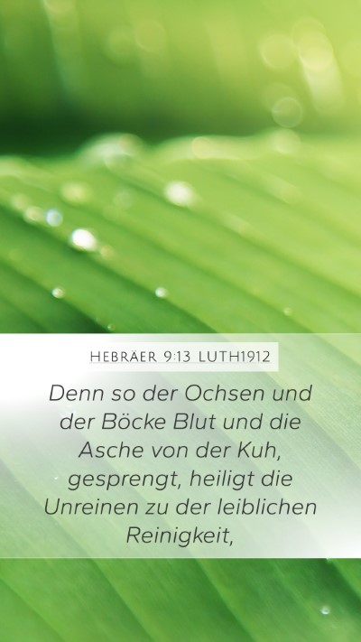 Hebräer 9:13 LUTH1912 Bible Verse Image