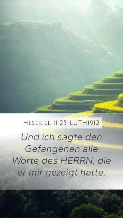 Hesekiel 11:25 LUTH1912 Bible Verse Image