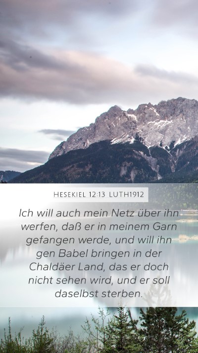Hesekiel 12:13 LUTH1912 Bible Verse Image
