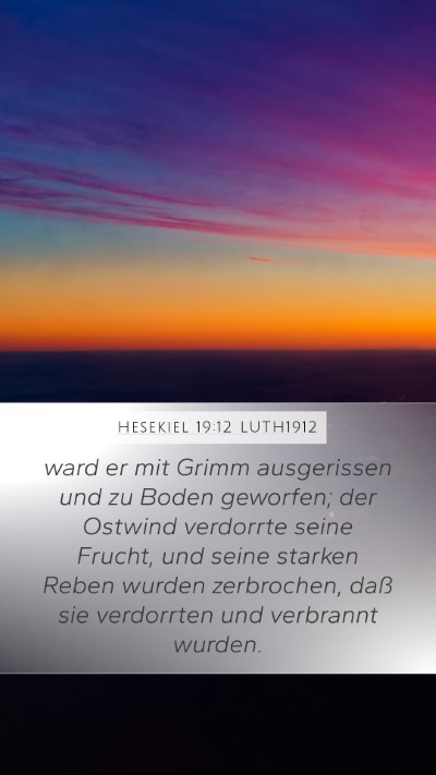 Hesekiel 19:12 LUTH1912 Bible Verse Image