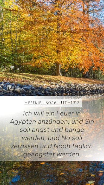 Hesekiel 30:16 LUTH1912 Bible Verse Image
